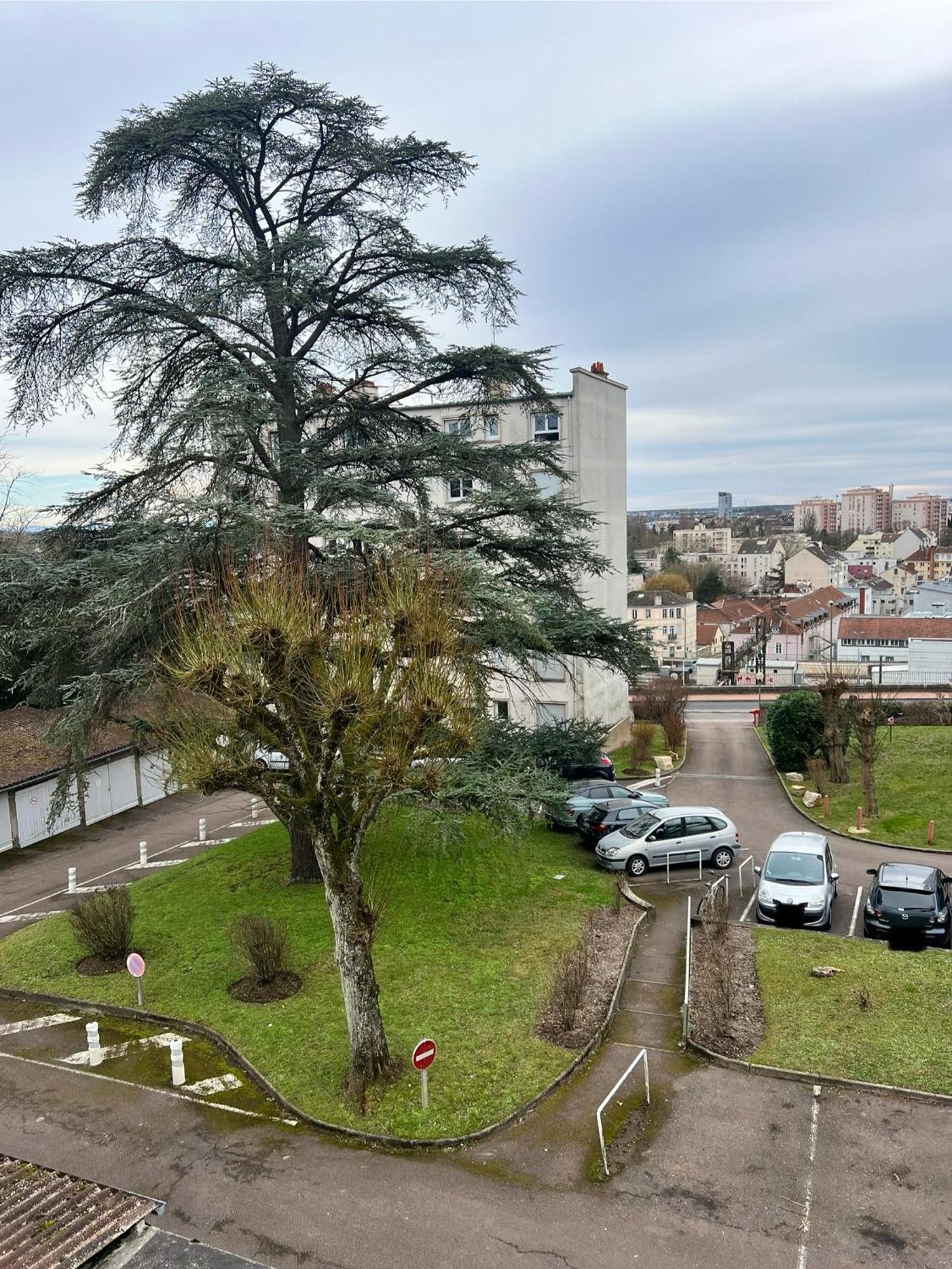 Апартаменты Le Bellevue - T3 - Gare & Les Jardins Darcy - Parking Free Дижон Экстерьер фото