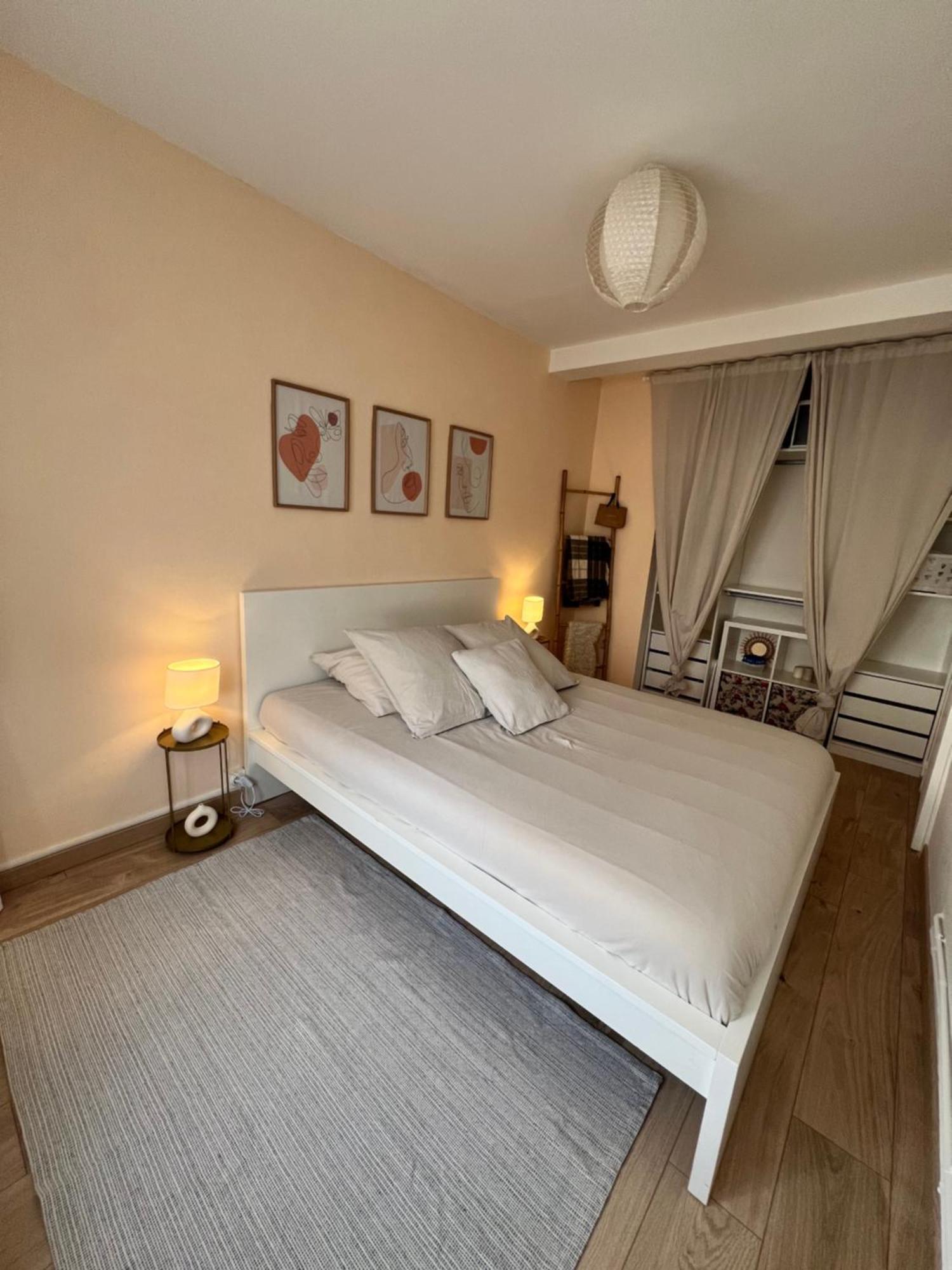 Апартаменты Le Bellevue - T3 - Gare & Les Jardins Darcy - Parking Free Дижон Экстерьер фото